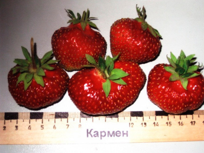 Кармен